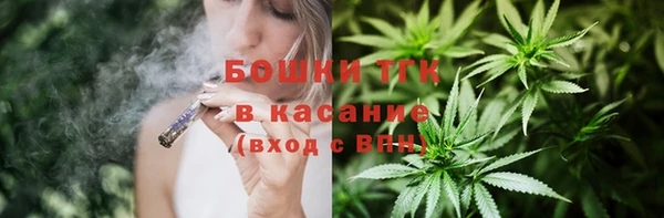 ПСИЛОЦИБИНОВЫЕ ГРИБЫ Гусь-Хрустальный