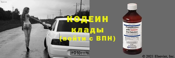 ПСИЛОЦИБИНОВЫЕ ГРИБЫ Гусь-Хрустальный