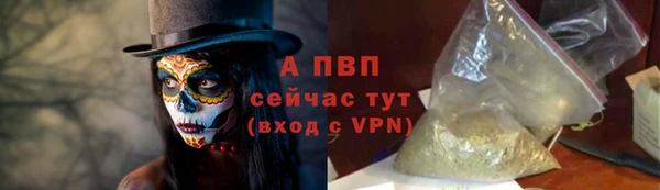 ПСИЛОЦИБИНОВЫЕ ГРИБЫ Гусь-Хрустальный