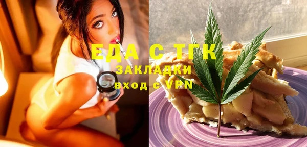 МДПВ Гусев