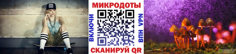 дарнет шоп  Холм  гидра ТОР  Псилоцибиновые грибы Psilocybine cubensis 